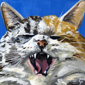 Acrylic painting of a yawning white and orange tabby cat on a blue background