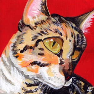 Acrylic painting of a tabby cat on a red background