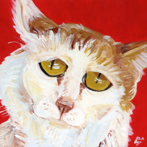 Acrylic painting of a white and orange cat on a red background